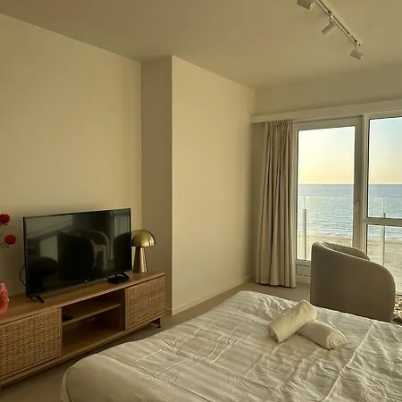 Apartment - Met Prachtig Zeezicht! Ostende