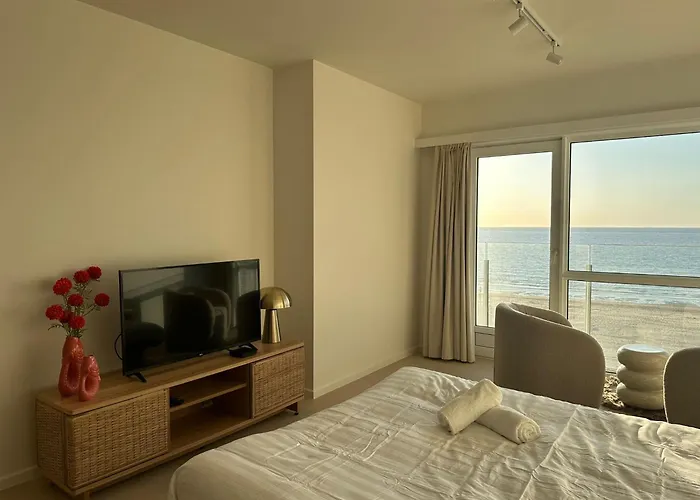 Appartement - Met Prachtig Zeezicht! Ostende